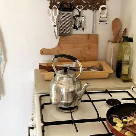 Theresa's House Blefoutis Leros 호텔 4*